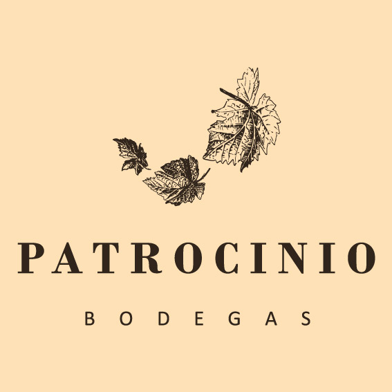 Nueva página web para Bodegas Patrocinio